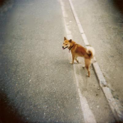 08.jpg